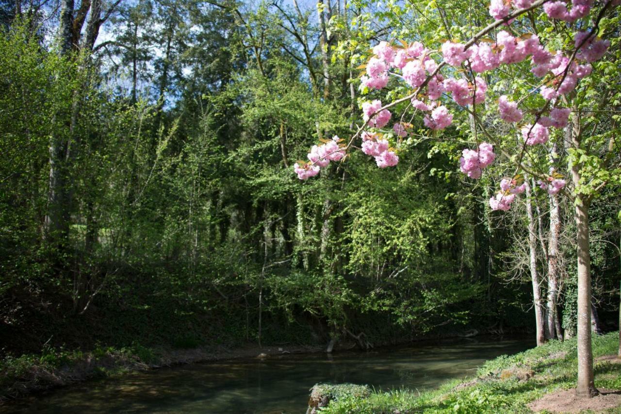 Gite Moulin De La Serree Nuits-Saint-Georges Εξωτερικό φωτογραφία